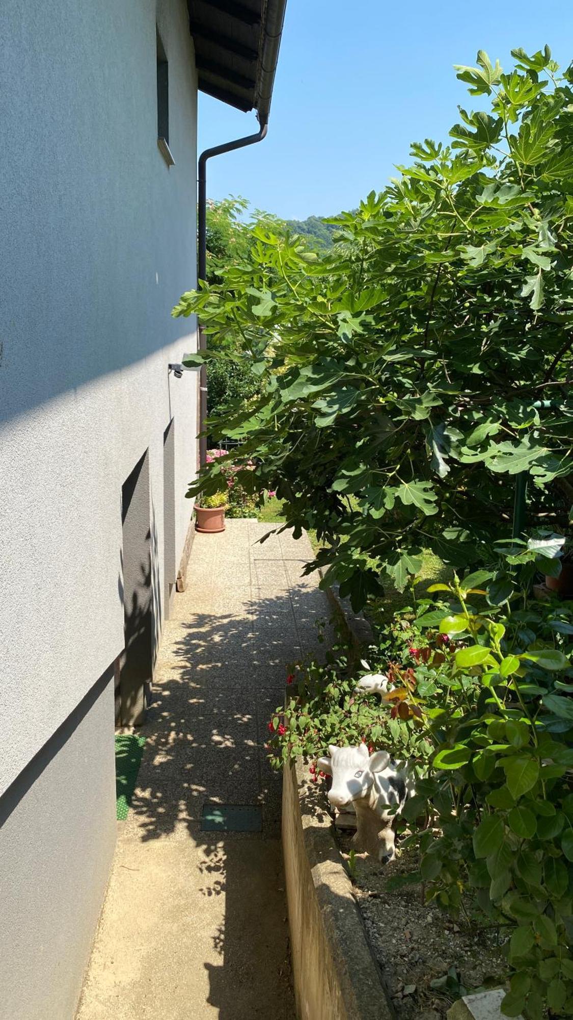 Semper Liberi Appartement Maribor Buitenkant foto